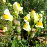 1808F 129 Donau-Regen Radweg